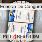 Kangaroo Essence kamagra1